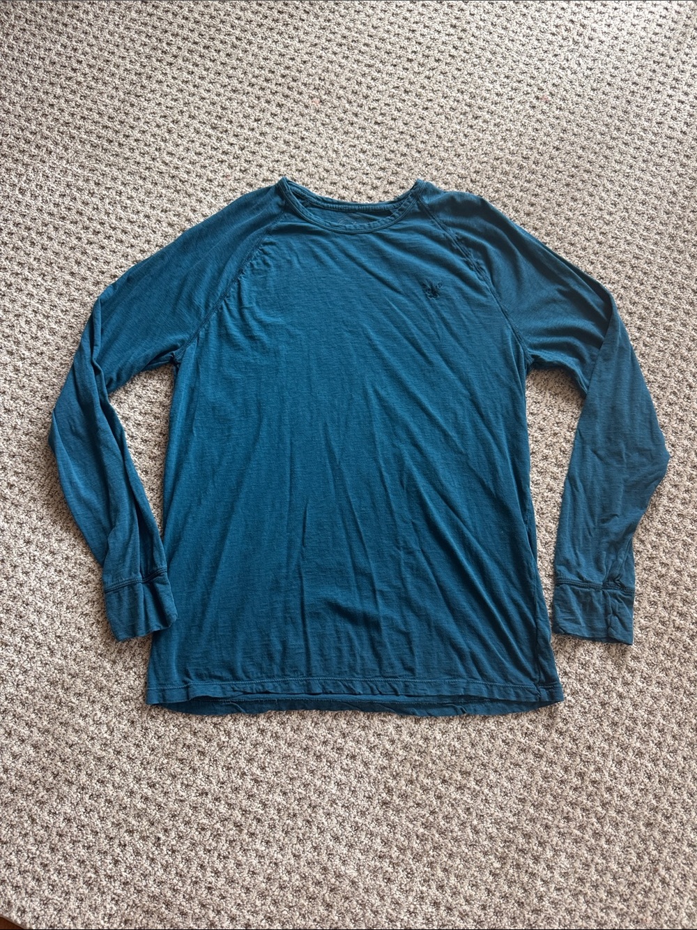 American Eagle Outfitters Long Sleeve Crew Neck Shirt 100% cotton